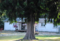 1621 380th Street South, Roy, WA 98580 