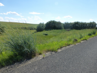 37725 Cottonwood Rd E, Davenport, WA 99122 