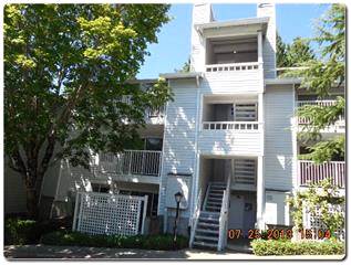 4106 Factoria Blvd SE Unit 104, Bellevue, WA 98006 