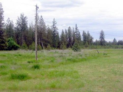 1500 Blk W SR 904 (W. First St.), Cheney, WA 99004 