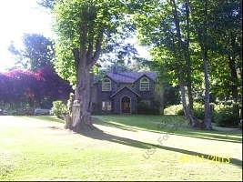 Tamarack, Camano Island, WA 98282 