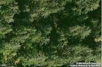 Sandridge, Long Beach, WA 98631 