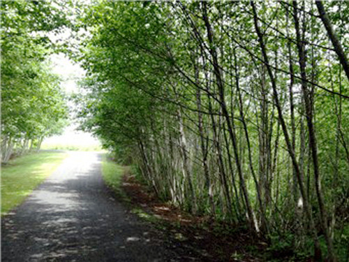 20 John Wayne Lane, Aberdeen, WA 98520 