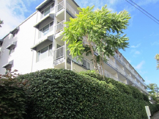 762 Hayes St Unit 27, Seattle, WA 98109 