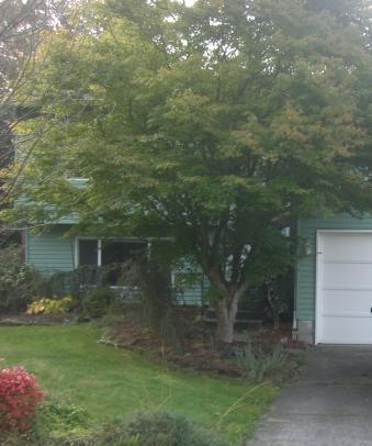 6202 96th St Ne, Marysville, WA 98270 