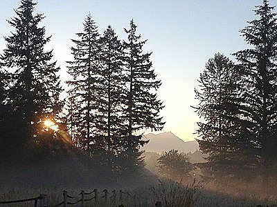 227Th, Monroe, WA 98272 