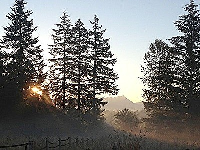 227Th, Monroe, WA 98272 