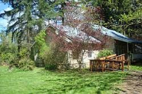 Mallard, Toledo, WA 98591 