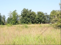 Orchard, Salkum, WA 98582 