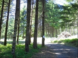 Aalvik, Stevenson, WA 98648 