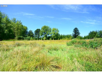 Se Grace Ave, Battle Ground, WA 98604 