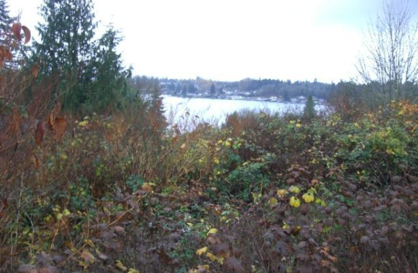 10818 Lakeview Dr, Lake Stevens, WA 98258 