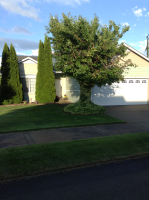 13007 11th Ave Ct E, Tacoma, WA 98445 