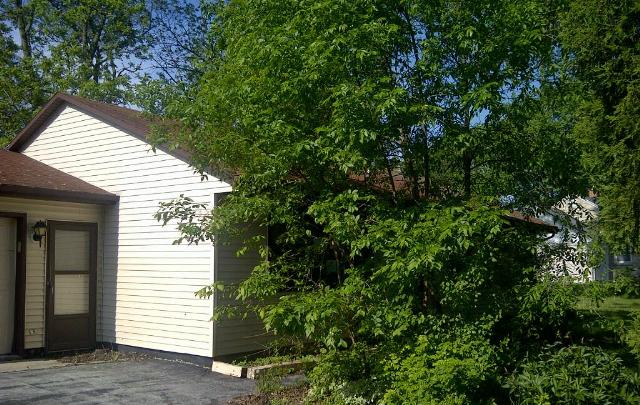 13619 W Forest Dr, New Berlin, WI 53151 