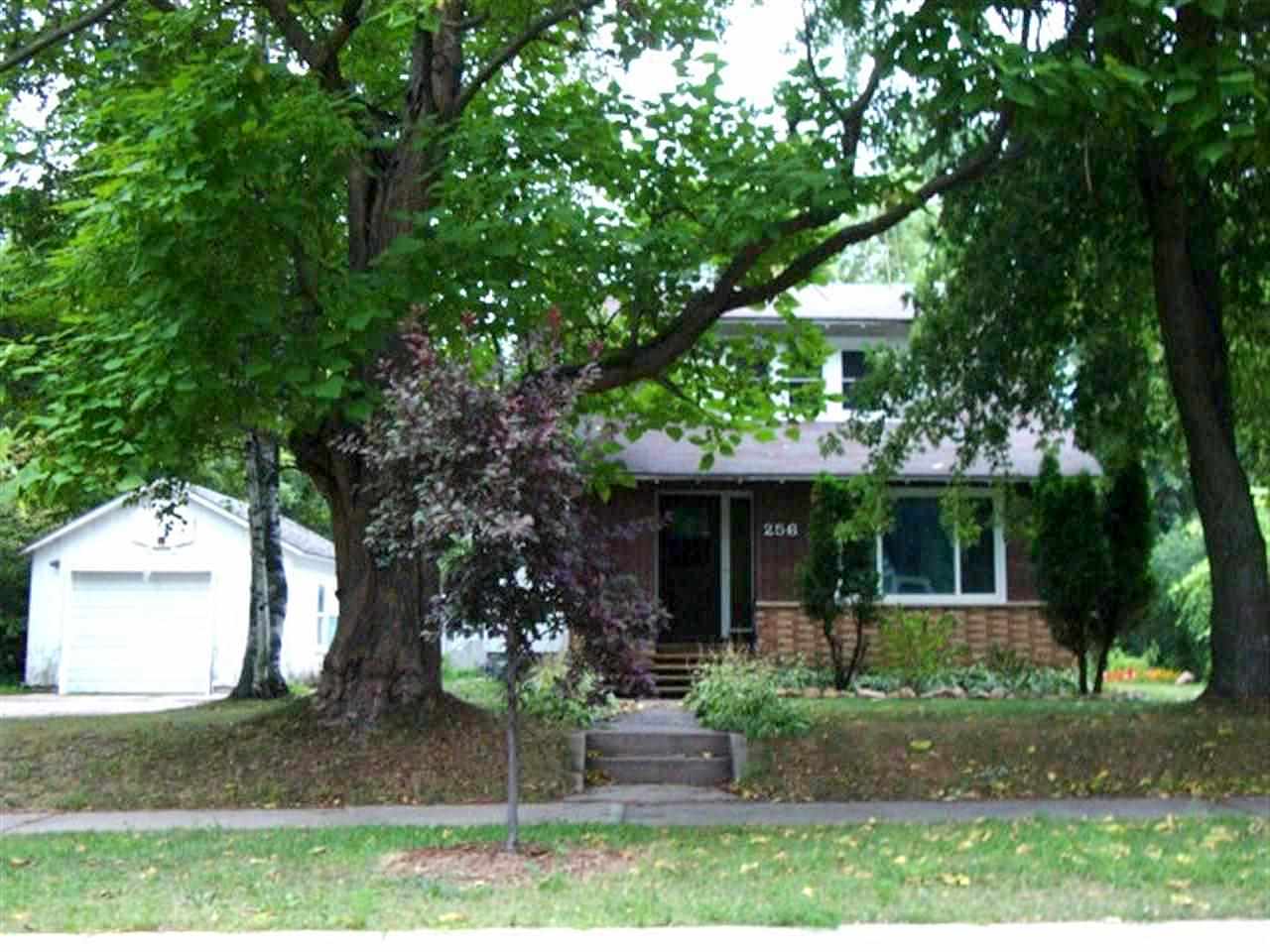 Wilson Street, Amherst, WI 54406 