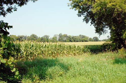 Sandy Beach Rd., Mukwonago, WI 53149 