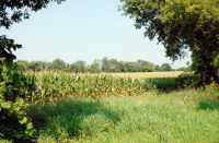 Sandy Beach Rd., Mukwonago, WI 53149 