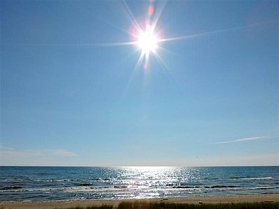 Driftwood, Sheboygan, WI 53081 