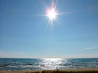 Driftwood, Sheboygan, WI 53081 