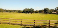 26040 Bayhead, Dade City, FL 26040 