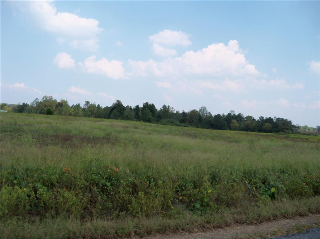 Co Rd 79, Pisgah, AL 35765
