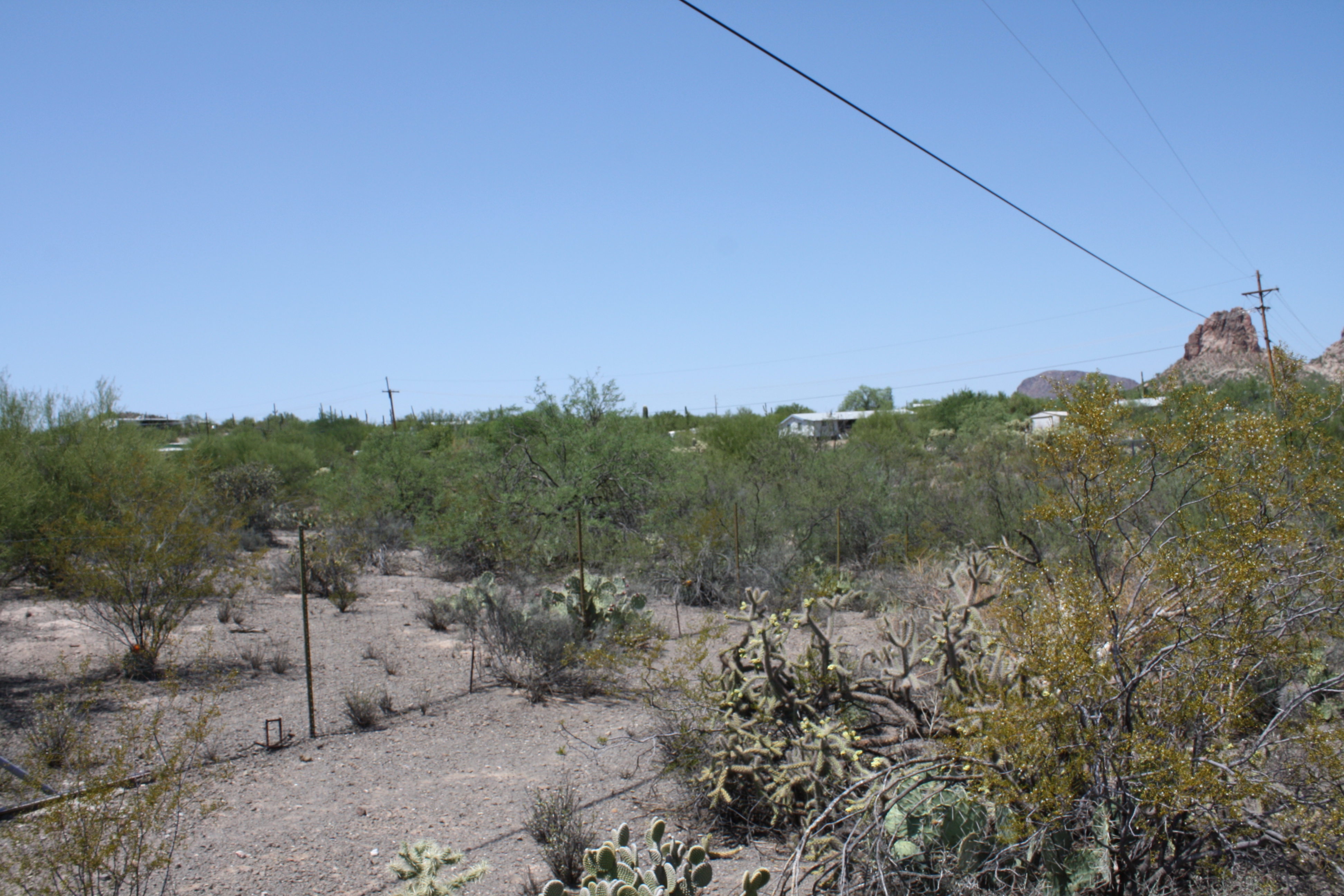 6320 S. Sorrel Lane, Tucson, AZ 85746 