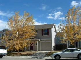 10658 FORESTER PL, LONGMONT, CO 80504 