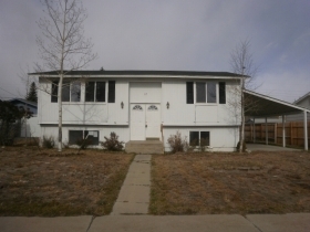 117 BAYLOR DRIVE, BUENA VISTA, CO 81211 
