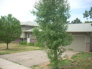 1418 FETTERMAN DR, COLORADO SPRINGS, CO 80915 