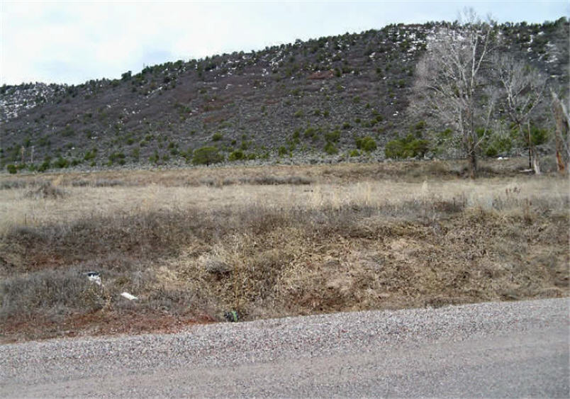 177 Spring View Dr, Glenwood Springs, CO 81601 