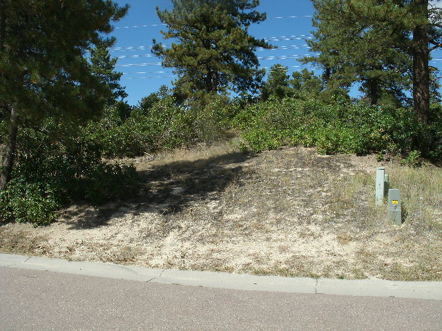 2445 Saddleback Dr, Castle Rock, CO 80104 