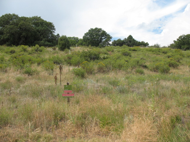 8077 Raphael Inlt, Littleton, CO 80125 