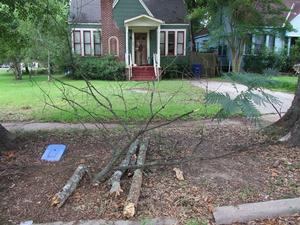 227  JORDAN, SHREVEPORT, LA 71101 