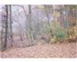 Lot 5 -1a Beninati Farm Rd, Bridgewater, MA 02324 