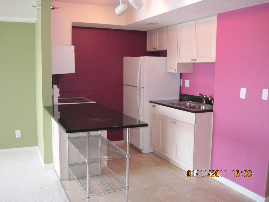 66 East 9th Street # 1408, SAINT PAUL, MN 55101 