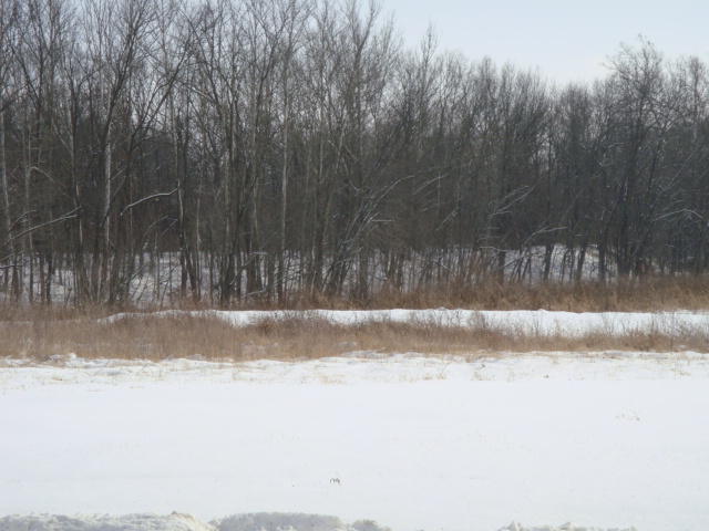 11.49 acres of land @ Lot 7 County Road 298, Lincoln County , MO 63362 