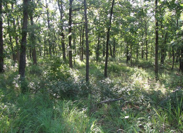 235 Cross Creek Estates, Camdenton, MO 65020 