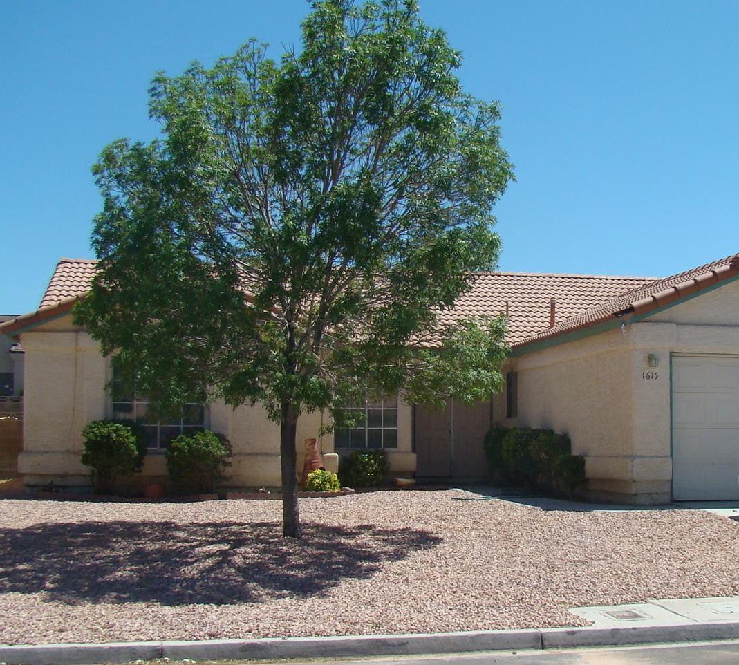 1615 Leatherleaf Drive, LAS VEGAS, NV 89123 