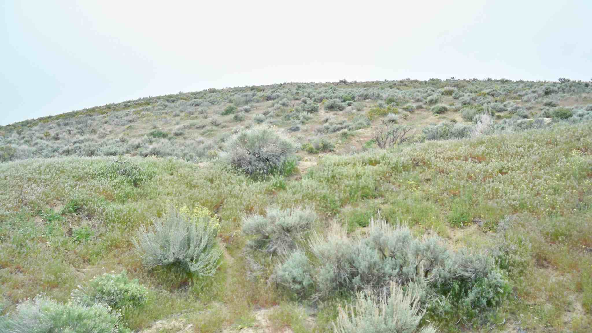 4500 Voltaire St, Carson City, NV 89703 