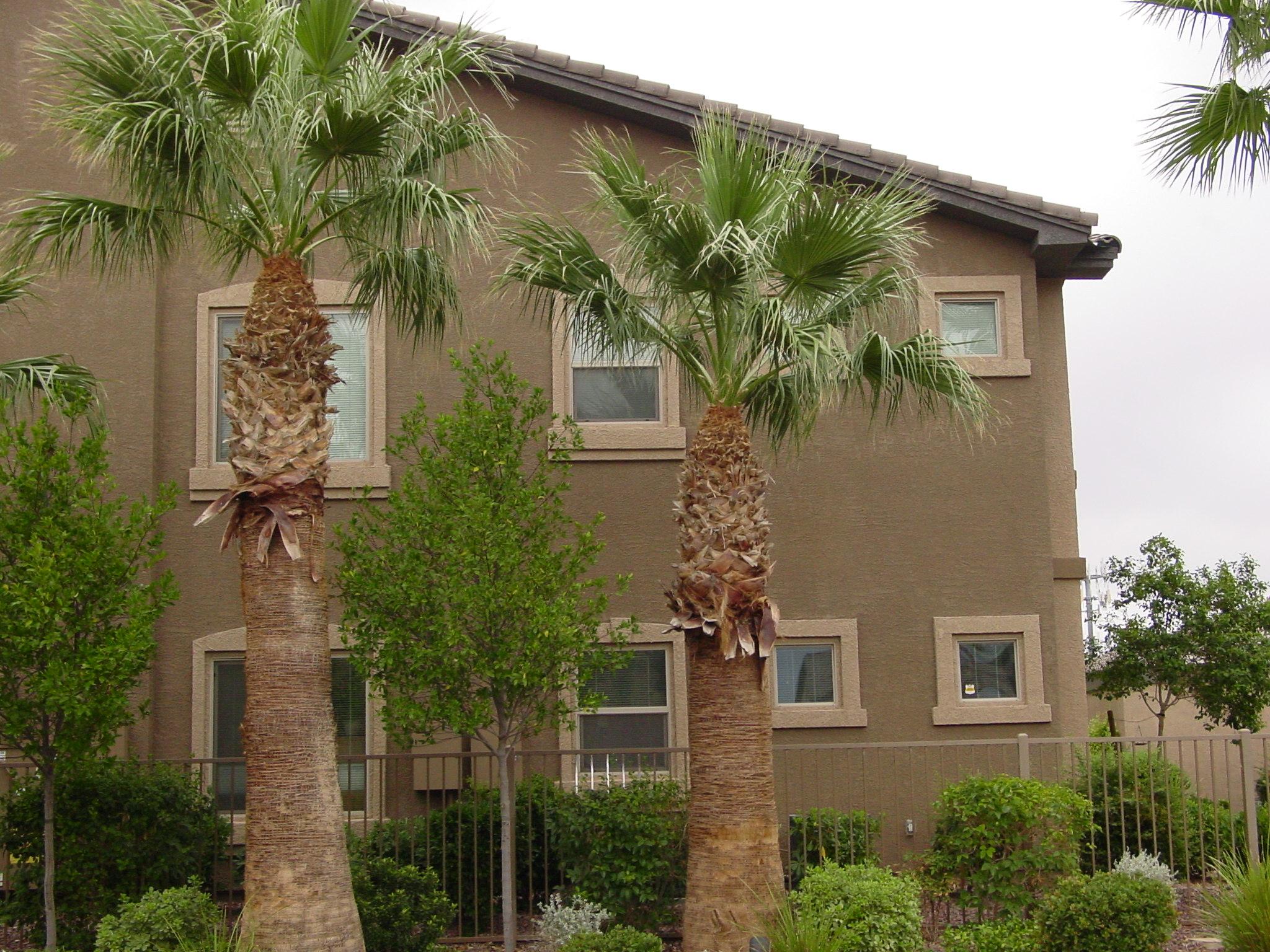 8985 South Durango Drive Unit 2021, LAS VEGAS, NV 89113 