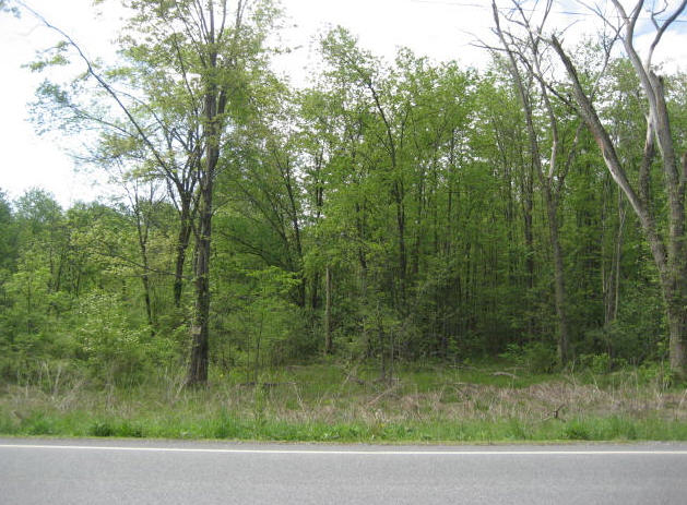 Lot  6 Old Hopewell Rd, Wappingers Falls, NY 12590 