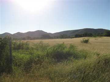 Llanos Costas Ward, Rural Lot # 29686, Cabo Rojo, PR 00623 