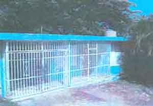 Lot 1 Cedro Abajo Ward, Naranjito, PR 00719 