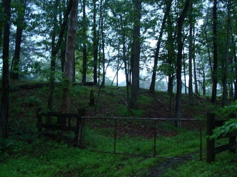 129.392 Acres of Land, Plains District, Criders, VA 22820 