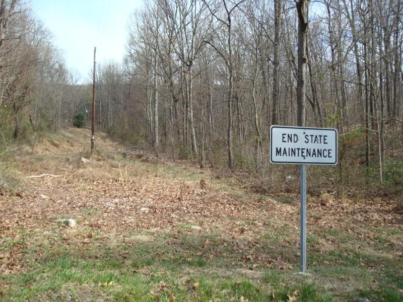 29.1 acres, Mtn Land Rt 698 off Rt.699, Mount Jackson, VA 22842 