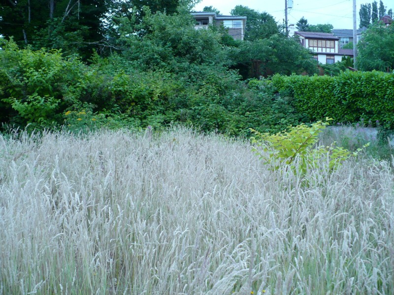 4621 Foster Pl. NE, Tacoma, WA 98422 